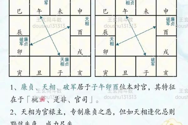 紫薇斗数子平斗数