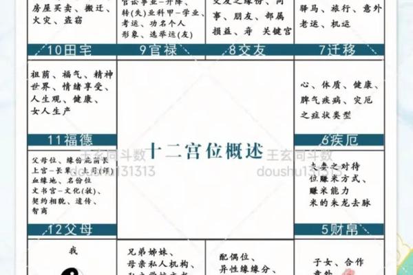 紫薇斗数宫位详解