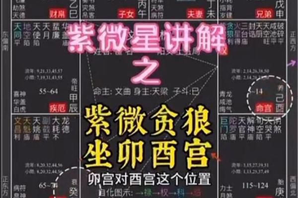紫薇斗数贪狼化解