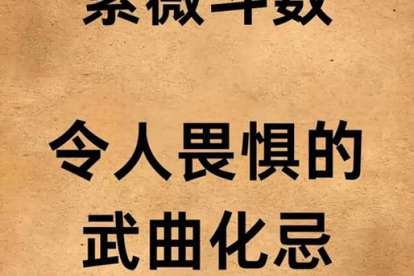 什么紫薇斗数的人适合去大城市发展