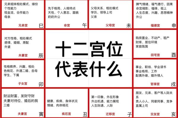 紫薇斗数排盘可靠吗