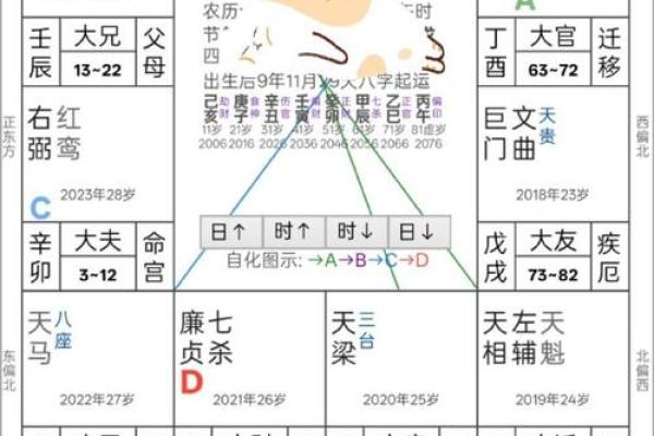 紫薇斗数许老师