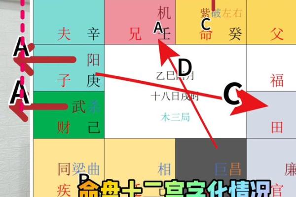 紫薇斗数盘