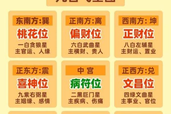 八字己巳大运是什么运势