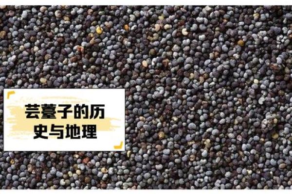 菜籽的风水作用