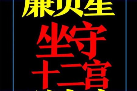 紫微斗数之廉贞星：此星在命盘什么地方，这辈子的业障就在哪里