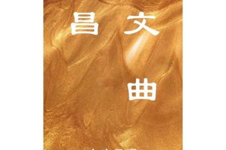 文曲星八字