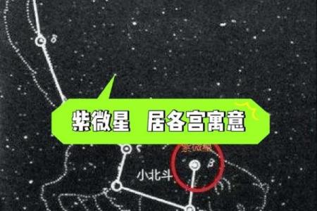 紫薇星是什么时辰