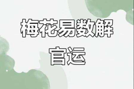 紫薇斗数与梅花易