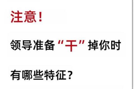 神准测试--最近职场上需要注意什么？