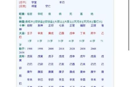 八字种类