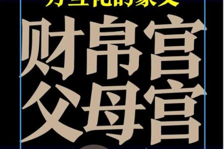紫薇斗数看财气