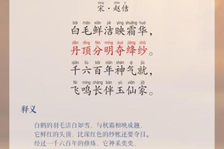 白鹤鸣八字