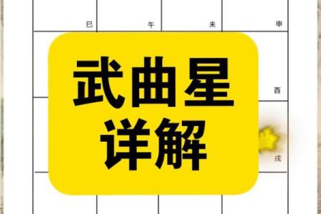 紫薇斗数文曲
