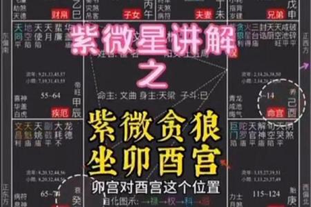紫薇斗数贪狼化解