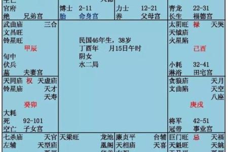 紫薇斗数状元格