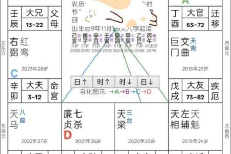 紫薇斗数许老师