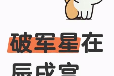 紫薇斗数辰戌宫