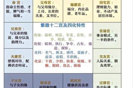 暗曜紫薇斗数