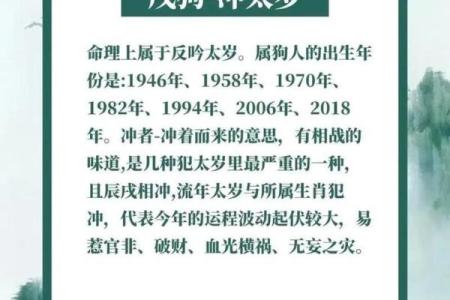 免费算命属狗明年财运
