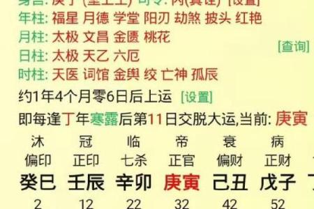 八字己巳大运是什么运势