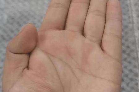 断掌纹看相算命图解