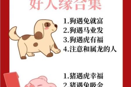 鼠和兔八字合不合 鼠兔八字相合吗
