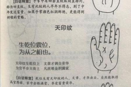 西方三大占卜术,算命三大神术