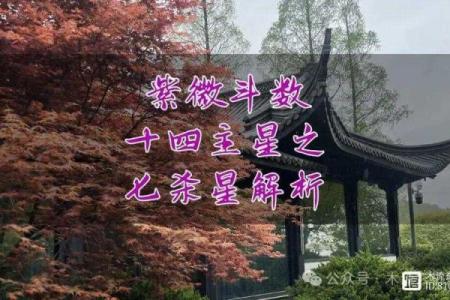 紫薇斗数七杀星