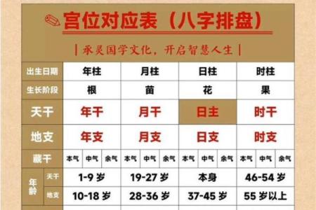 八字怎么排盘,查四柱八字的软件
