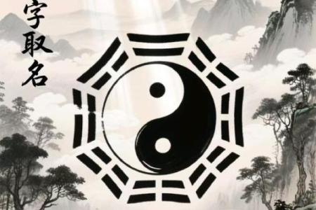 公司测名八字