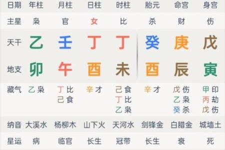 辛巳日柱出生男女八字命运
