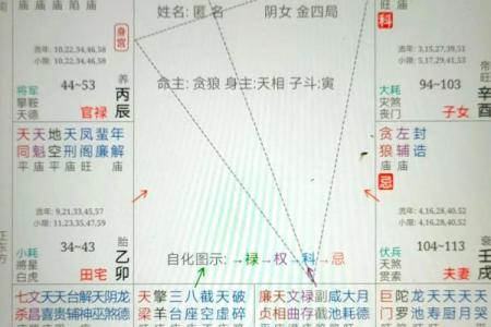 紫微斗数诸星落诸宫之：天相星父母宫详解