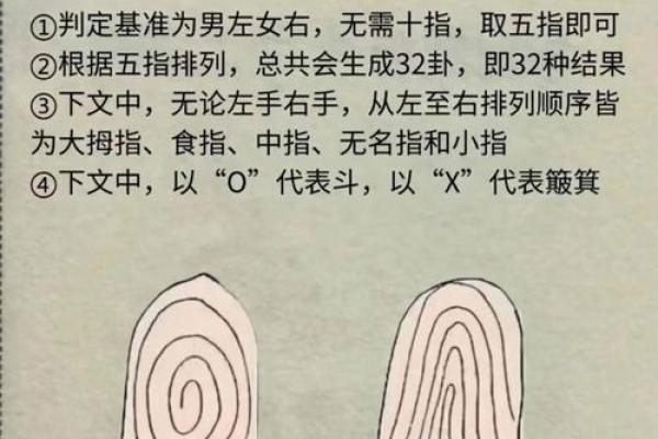 算命中指的官是什么