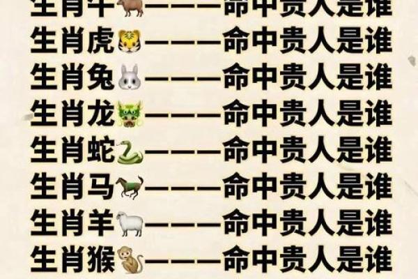 属鼠八字