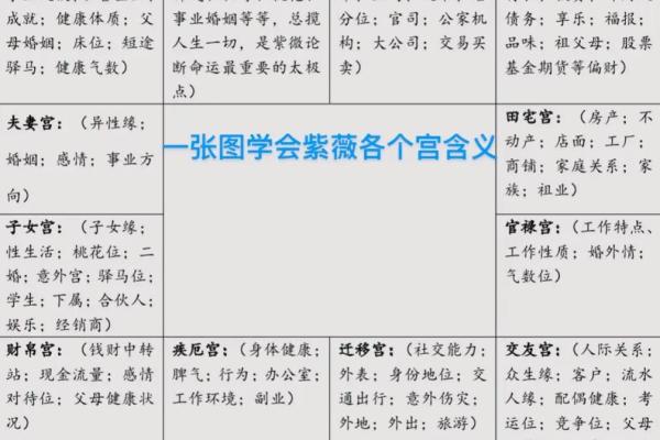 紫薇斗数领导