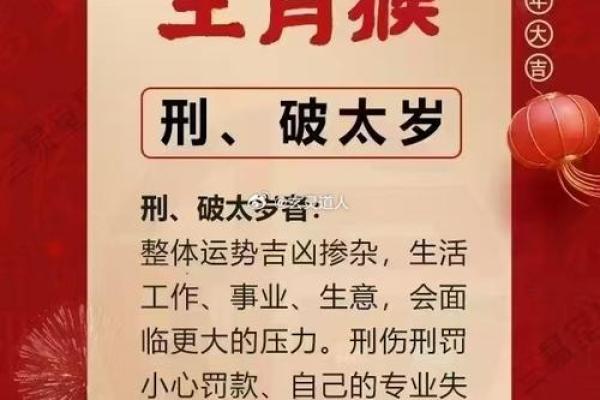 猴年八字