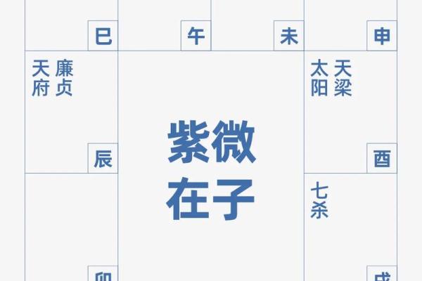 紫微斗数科星有哪些,紫微斗数十二星