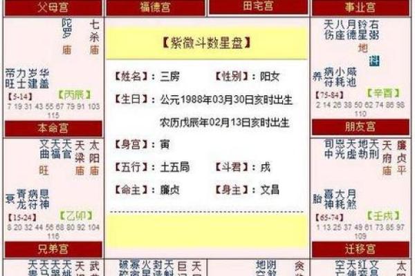 紫薇斗数子女宫在子