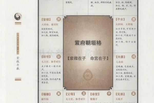 紫薇斗数怎么分析