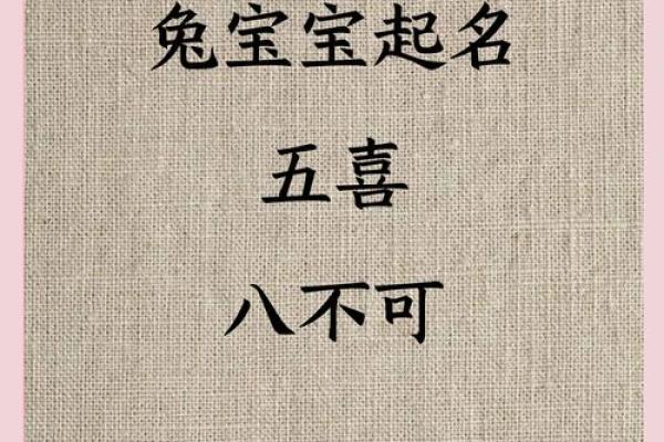 2025兔宝宝起名生辰八字