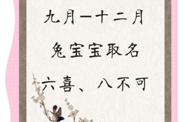 2025兔宝宝起名生辰八字