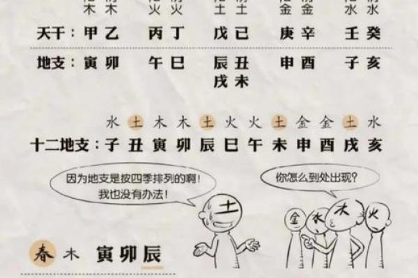 八字十天干的特点要义（下）