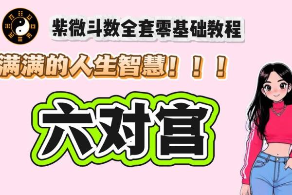 紫薇斗数下载软件
