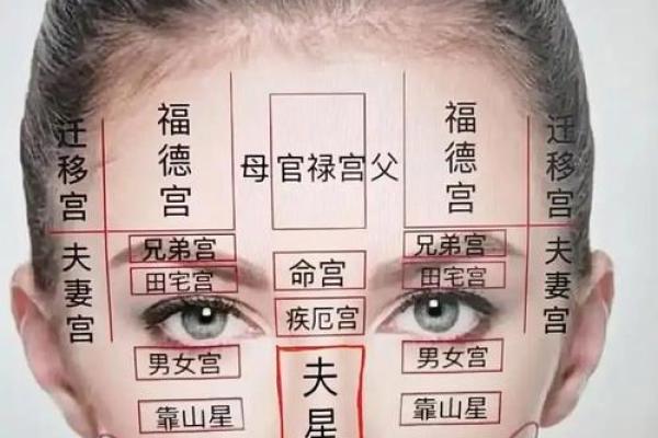 面相风水下垂眼的人命运好不好