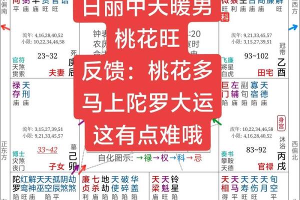 紫薇斗数紫薇化忌