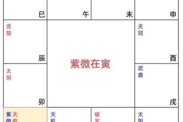 紫薇斗数解析排盘
