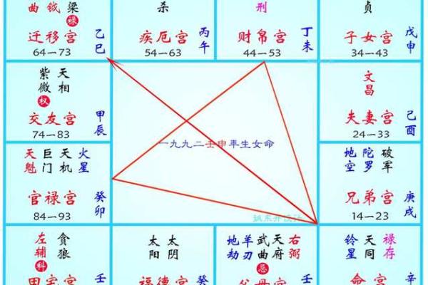 申宫紫薇斗数