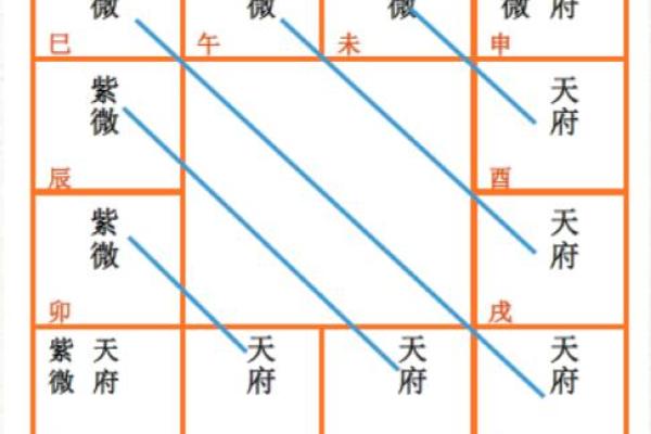紫微斗数图录 紫薇斗数图？