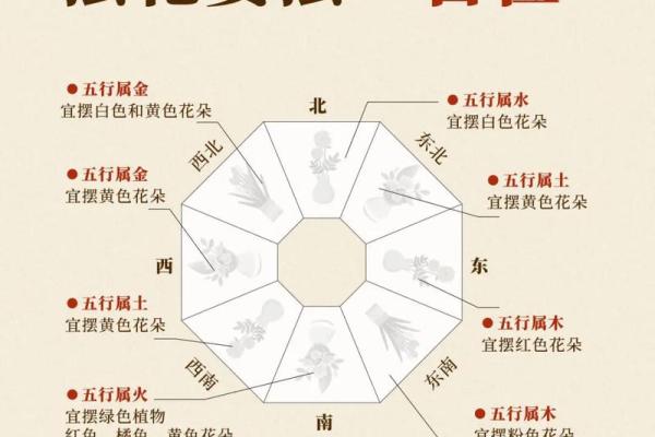 家里的风水健康吉位是哪里 你一定意想不到 很多人都会忽略